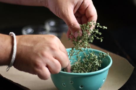 Sušené bylinky (bazalka a oregano)
