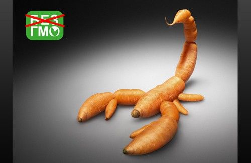 Prečo sa Amerika nechce vzdať geneticky modifikovaných potravín?
