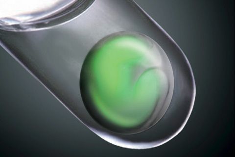 Sietnica vypestovaná z ľudských embryonálnych kmeňových buniek