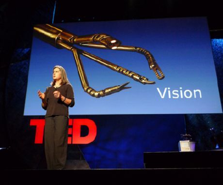 Da Vinci (robotický chirurg)