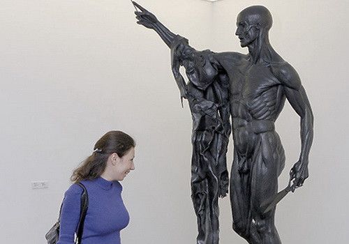 Veľkosť mužskej dôstojnosti ovplyvňuje jeho inteligenciu